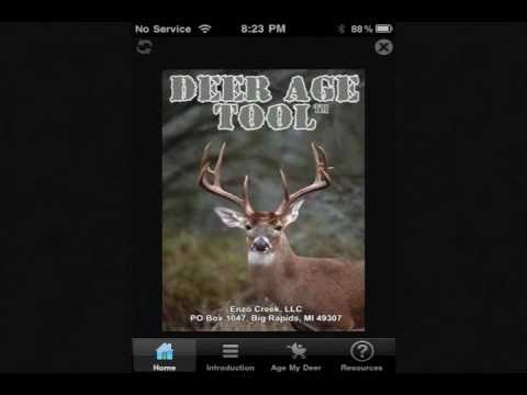 how to properly age a deer