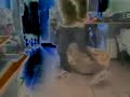 chetos bailando