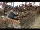 Indonesian Shadow Puppet Theater (video tour)