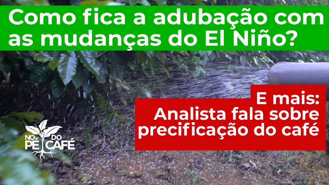 Como ADUBAR com a mudança das CHUVAS por causa do El Niño? E analista fala sobre O PREÇO DO CAFÉ.
