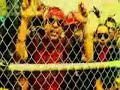 daddy Yankee - somos de calle Remix