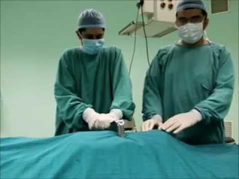 حياة