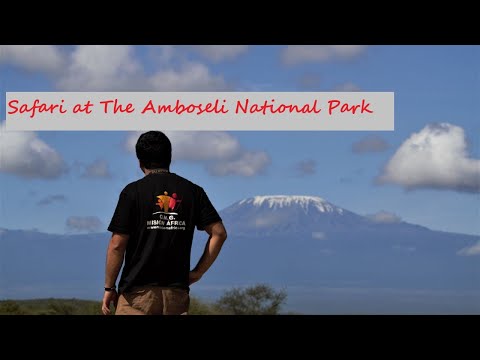Amboseli Safari - Preview