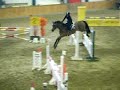 chevaux