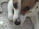 Jun 10 2008 - VID00008