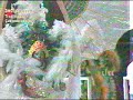 Trinidad and Tobago Carnival 2007 Trini Mas c8