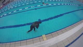 I like long walks - underwater