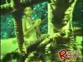 Cavan feat. Stain (Bronchitis Riddim)