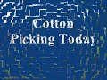 Cotton Picking Shreshth Mehrotra Cotton Picking Shreshth Mehrotra