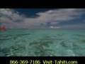 Tahiti Vacations 866-369-7186