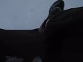 Ben Fall Down Go Boom! Ben Fall Down Go Boom!
