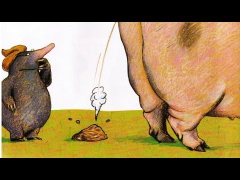 El topo que quería saber quién se había hecho aquello en su cabeza - Cuentos infantiles