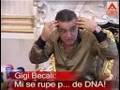 Gigi Becali vs DNA