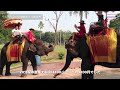 タイ・バンコクの旅 その3|アユタヤ遺跡・象に乗るの巻|Ayutthaya Elephant Camp|Wat Pra Srisanpet アユタヤ