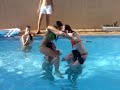 anna vs. carla - briga de galo