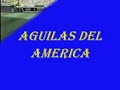 Aguilas De America
