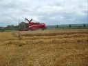Moisson des froments 08 by Herens