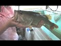 Bryn Rawlins Bass Guide