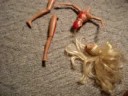 The tradegic death of Casey the hoe. The tradegic death of Casey the hoe.