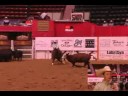 2008 Summer Cutting Junior Youth Champion