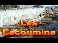 Trip de gars 2008