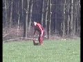 EXPERTK9 CLIP PISTAGE BELGIQUE