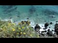 Point Dume, Malibu