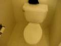 The Most Powerful Toilet in New York City