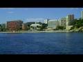videos de PLACE DE PALMA