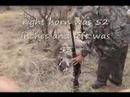 hunting in south africa