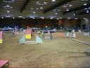 Springer DGF Aug 2008