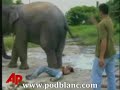 http://podblanc.com