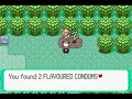 Pokemon emerald Hack 3