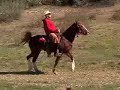 horse-extreme.html