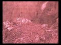 Two Harbors Fly-by at 1930