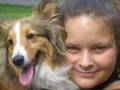 My wonderful sheltie!!!!