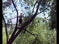 Barradas e Caranguejeira a banhos 3