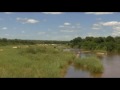Sony HVR-V1U (V1E) Safari 30X Zoomtest Video