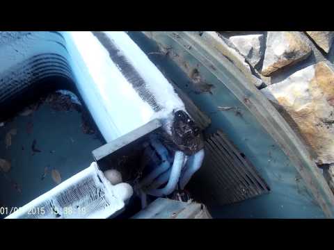 how to repair rheem heat pump