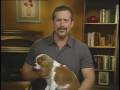 How to Be a Financially Smart Pet Owner Insurance Videos – insurancebazaar.net