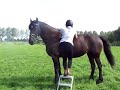 Riding Froukje bareback again