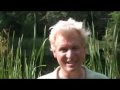 Elves - Learn how to Attract Real Elves to You!