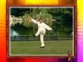 Chen Taiji Straight Sword