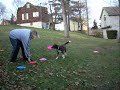 Backyard freestyle frisbee work