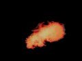 jaime maussan   ufo conference 2005 part 4   10 parts 