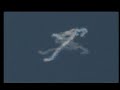 jaime maussan   ufo conference 2005 part 4   10 parts 