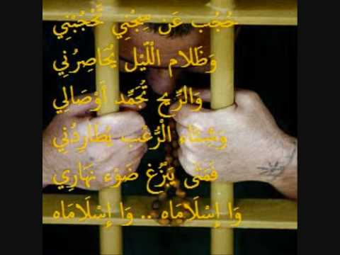 فنانات عربية صور