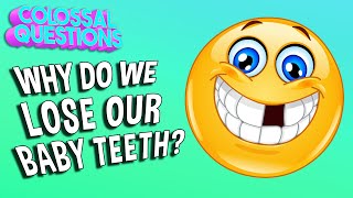 Why Do We Lose Our Baby Teeth?  COLOSSAL QUESTIONS