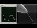 AFM,assembly,atomic