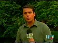 Pingo-de-ouro que encontramos em Santa Catarina